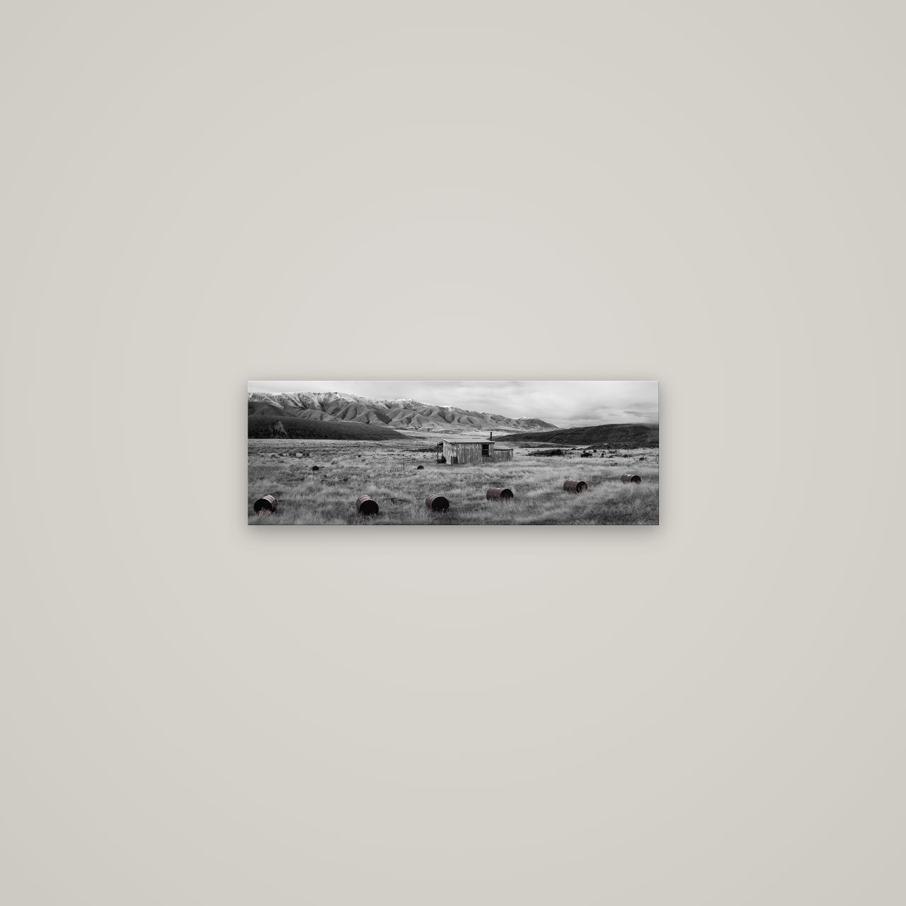 Solitude in the Wild, Barrels of Resilience — No frame, 57×20 cm. New Zealand fine art wall art by Stephen Milner.