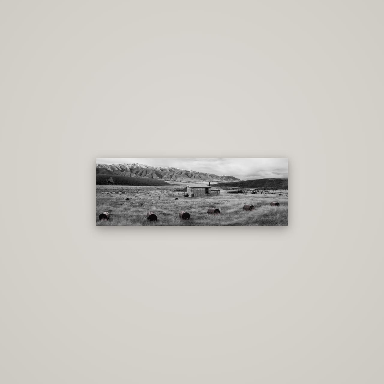 Solitude in the Wild, Barrels of Resilience — No frame, 68×24 cm. New Zealand fine art wall art by Stephen Milner.