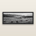 Solitude in the Wild, Barrels of Resilience, black and white framed metallic canvas print, Black frame. New Zealand fine art wall art by Stephen Milner.