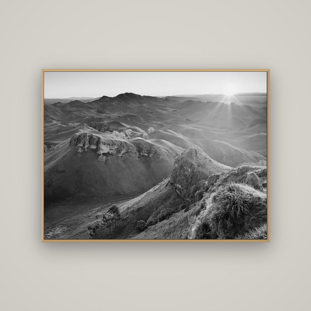 Te Mata Peak, Hawke's Bay, Basel Natural Oak, 133×100 cm. New Zealand fine art wall art by Stephen Milner.