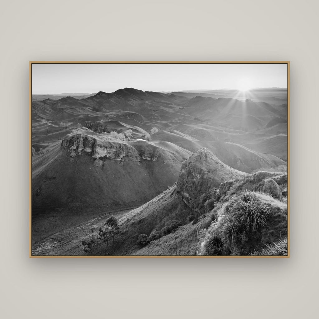 Te Mata Peak, Hawke's Bay, Basel Natural Oak, 160×120 cm. New Zealand fine art wall art by Stephen Milner.