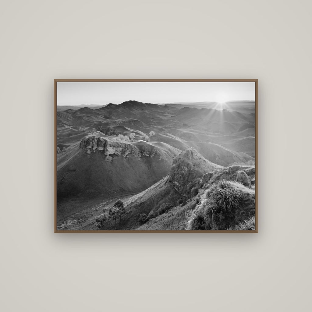 Te Mata Peak, Hawke's Bay, Basel Walnut, 107×80 cm. New Zealand fine art wall art by Stephen Milner.