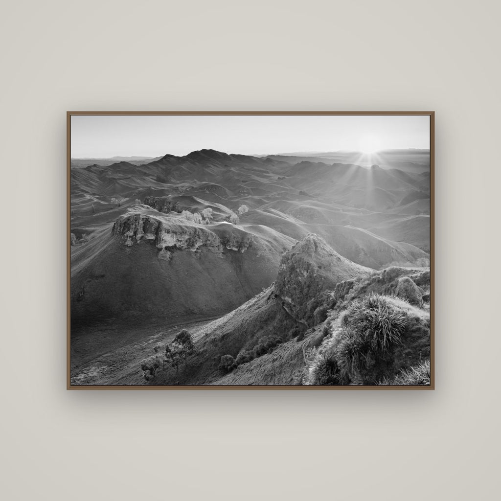 Te Mata Peak, Hawke's Bay, Basel Walnut, 133×100 cm. New Zealand fine art wall art by Stephen Milner.