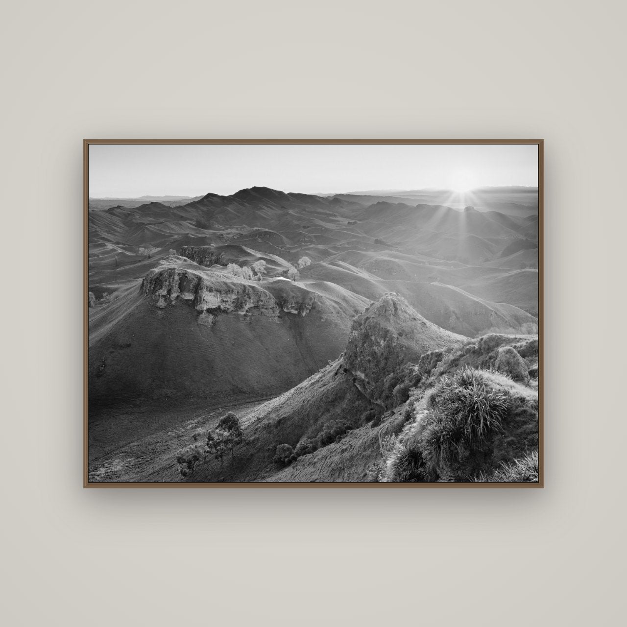 Te Mata Peak, Hawke's Bay, Basel Walnut, 133×100 cm. New Zealand fine art wall art by Stephen Milner.