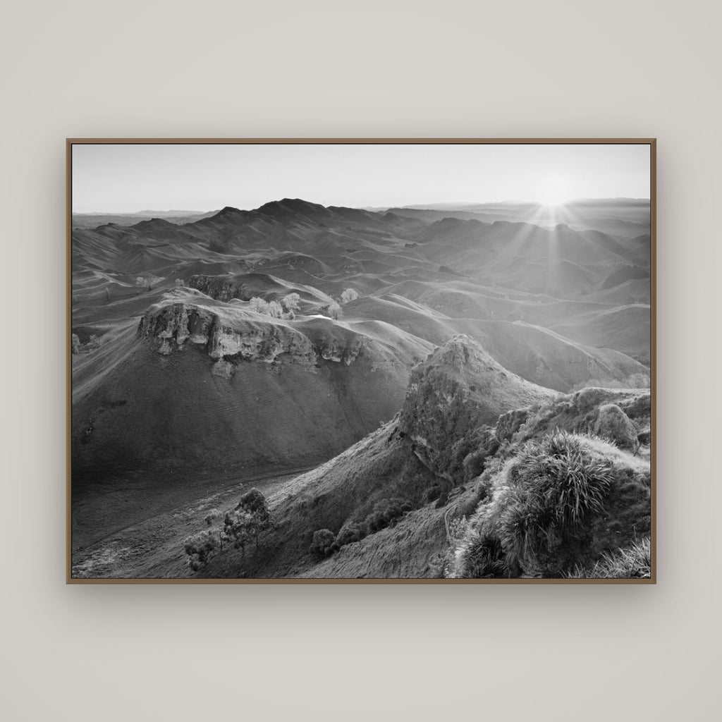 Te Mata Peak, Hawke's Bay, Basel Walnut, 160×120 cm. New Zealand fine art wall art by Stephen Milner.