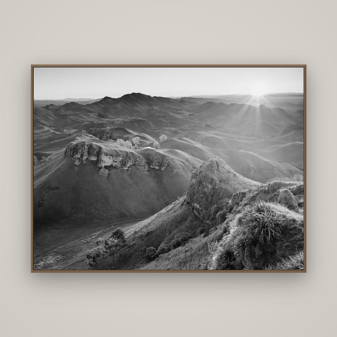Te Mata Peak, Hawke's Bay, Basel Walnut, 160×120 cm. New Zealand fine art wall art by Stephen Milner.