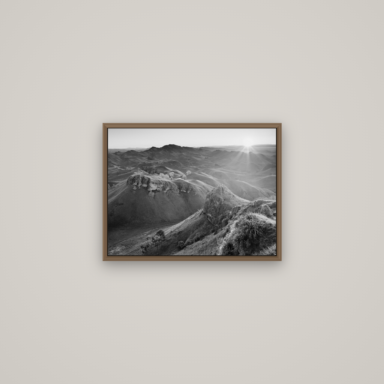 Te Mata Peak, Hawke's Bay, Basel Walnut, 53×40 cm. New Zealand fine art wall art by Stephen Milner.