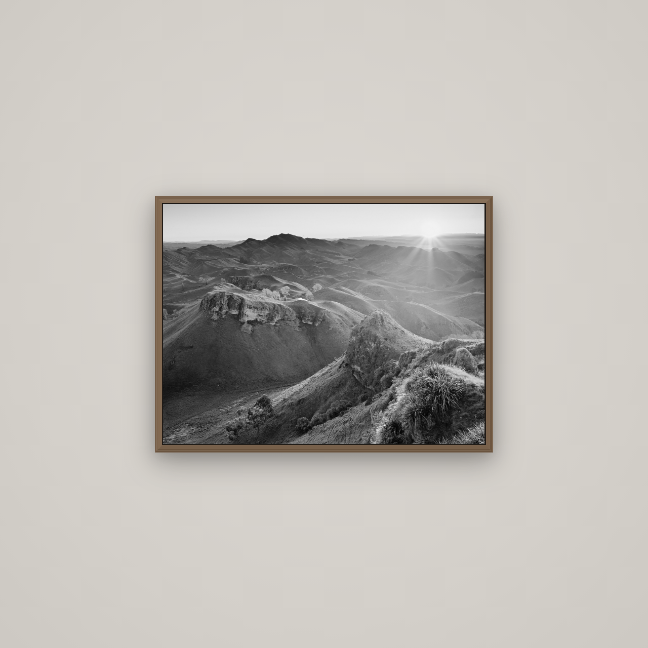 Te Mata Peak, Hawke's Bay, Basel Walnut, 67×50 cm. New Zealand fine art wall art by Stephen Milner.