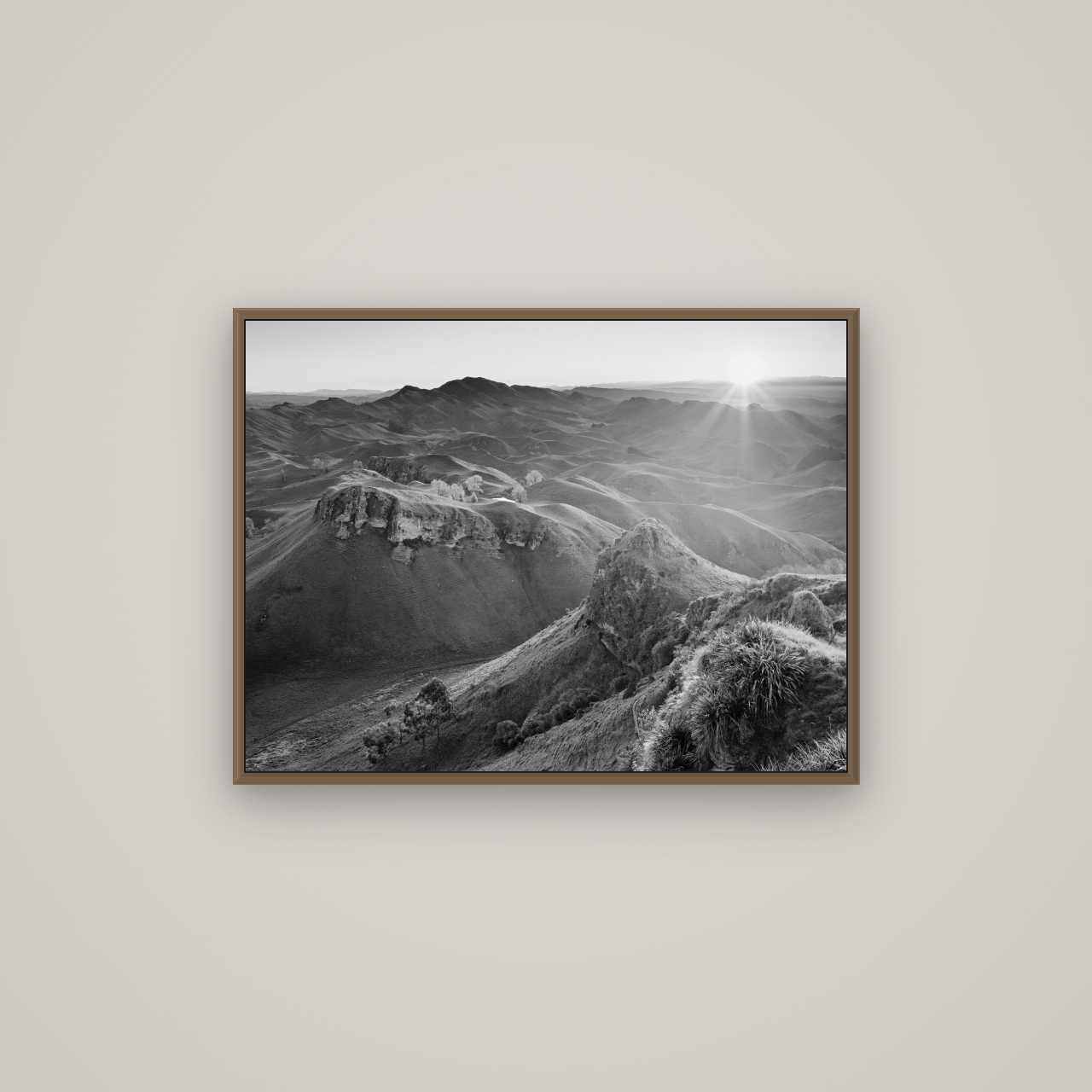 Te Mata Peak, Hawke's Bay, Basel Walnut, 80×60 cm. New Zealand fine art wall art by Stephen Milner.
