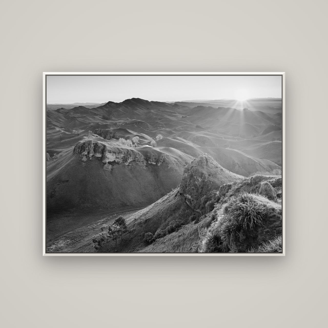 Te Mata Peak, Hawke's Bay — Basel White, 133×100 cm. New Zealand fine art wall art by Stephen Milner.