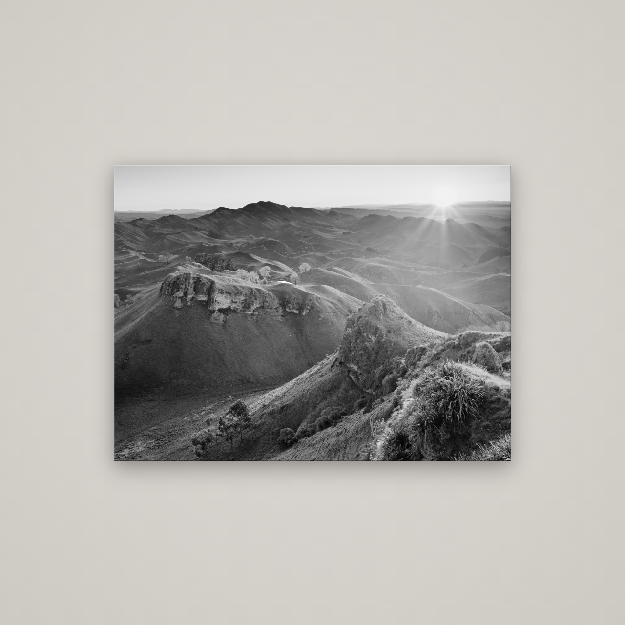 Te Mata Peak, Hawke's Bay — No frame, 107×80 cm. New Zealand fine art wall art by Stephen Milner.
