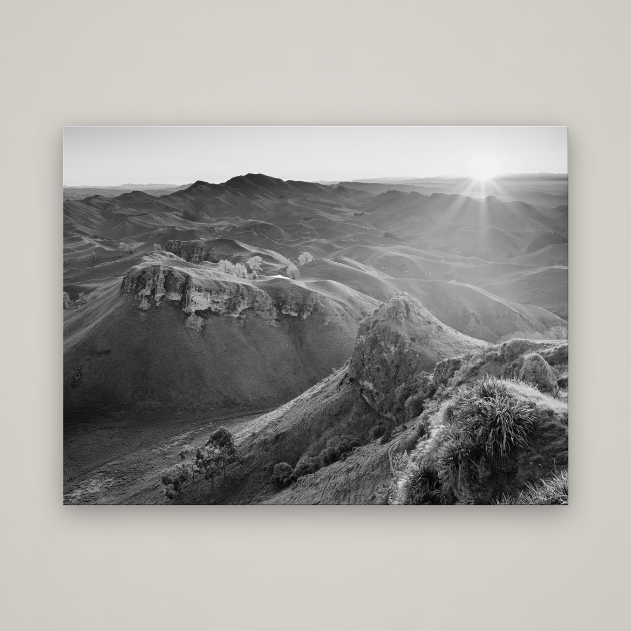 Te Mata Peak, Hawke's Bay — No frame, 160×120 cm. New Zealand fine art wall art by Stephen Milner.