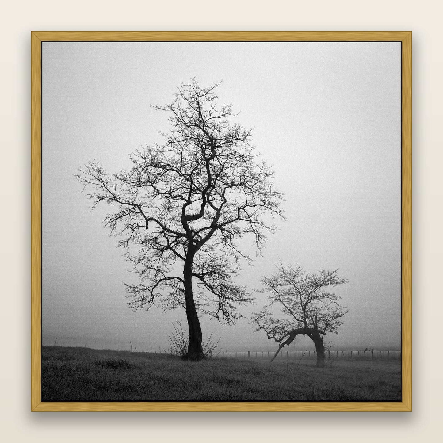 The Humble Guardian, Waikato — framed metallic canvas print, Antique Gold frame. New Zealand fine art landscape wall art by Stephen Milner.