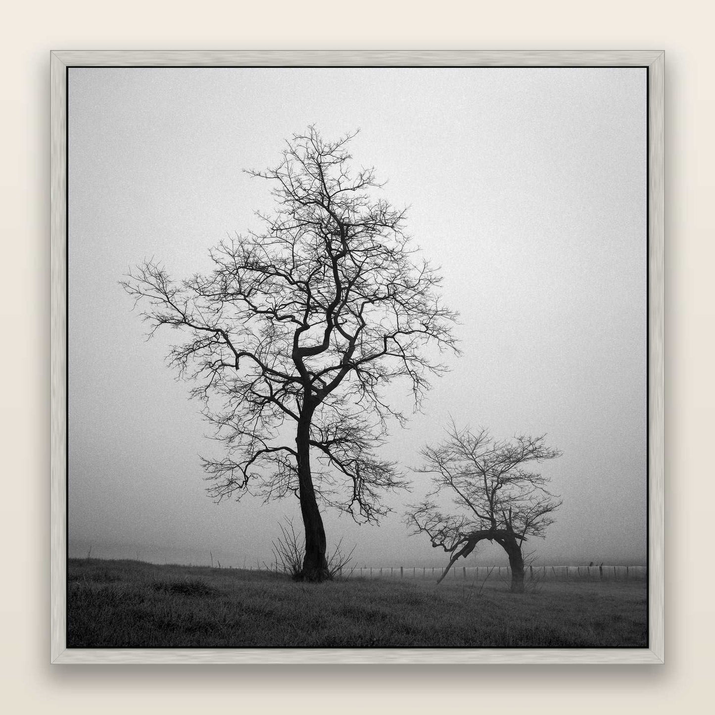 The Humble Guardian, Waikato — framed metallic canvas print, Antique Silver frame. New Zealand fine art landscape wall art by Stephen Milner.