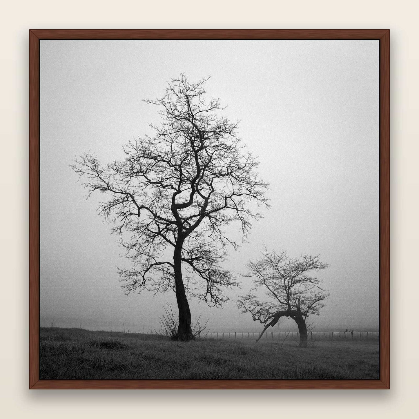 The Humble Guardian, Waikato — framed metallic canvas print, Brown frame. New Zealand fine art landscape wall art by Stephen Milner.