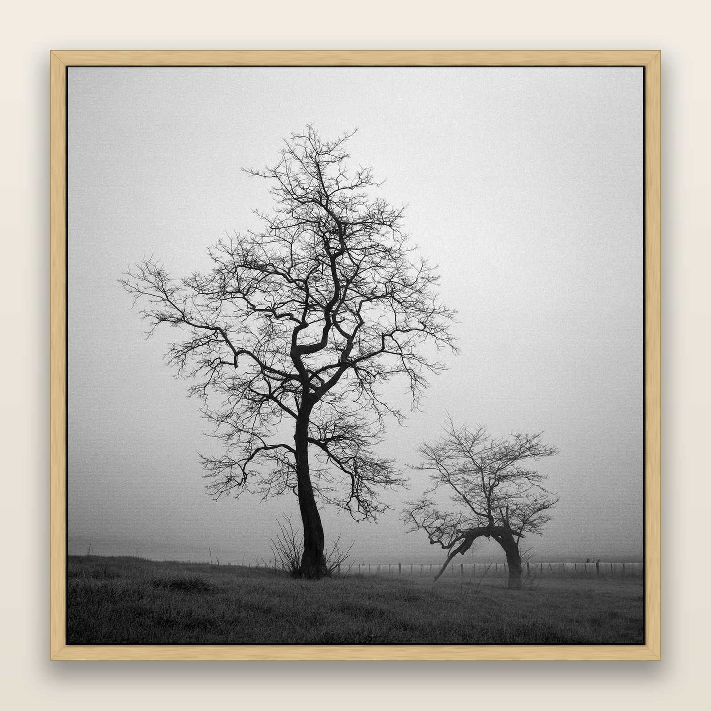 The Humble Guardian, Waikato — framed metallic canvas print, Natural frame. New Zealand fine art landscape wall art by Stephen Milner.