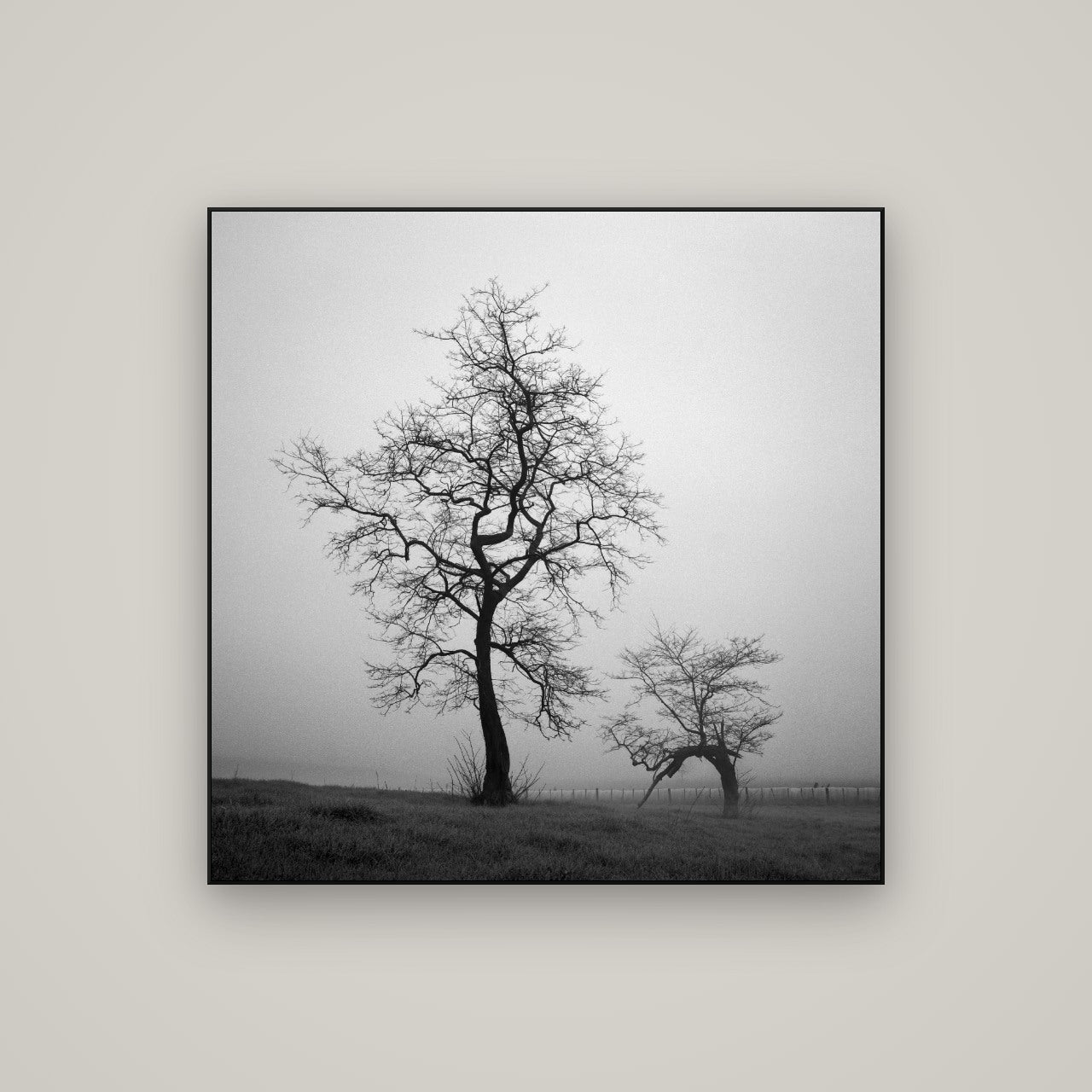 The Humble Guardian, Waikato — ArtBox Black, 100×100 cm. New Zealand fine art wall art by Stephen Milner.