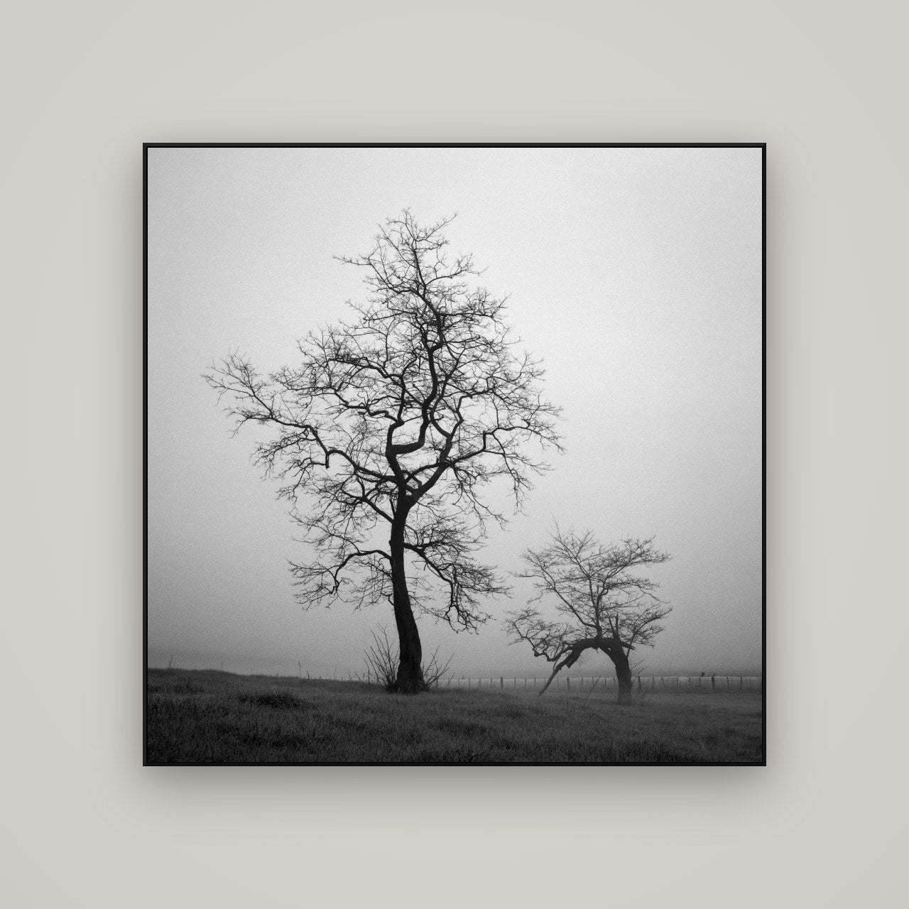 The Humble Guardian, Waikato — ArtBox Black, 120×120 cm. New Zealand fine art wall art by Stephen Milner.