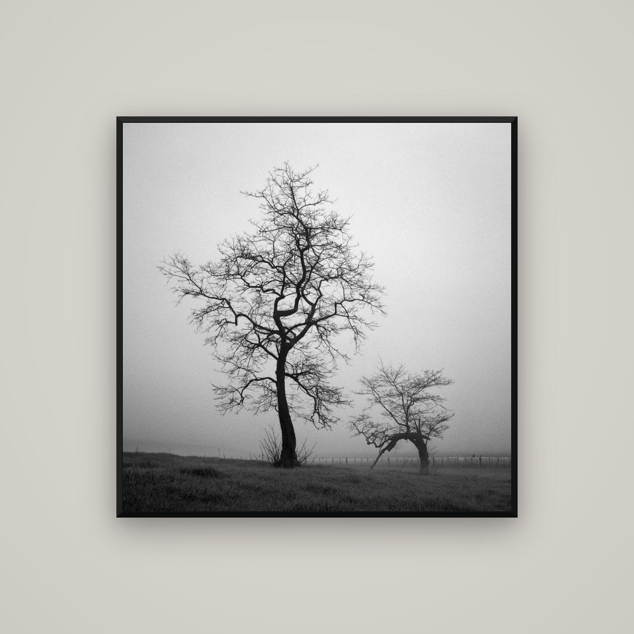 The Humble Guardian, Waikato — Basel Black, 100×100 cm. New Zealand fine art wall art by Stephen Milner.