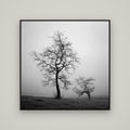 The Humble Guardian, Waikato — Basel Black, 120×120 cm. New Zealand fine art wall art by Stephen Milner.