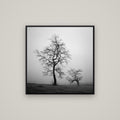 The Humble Guardian, Waikato — Basel Black, 80×80 cm. New Zealand fine art wall art by Stephen Milner.