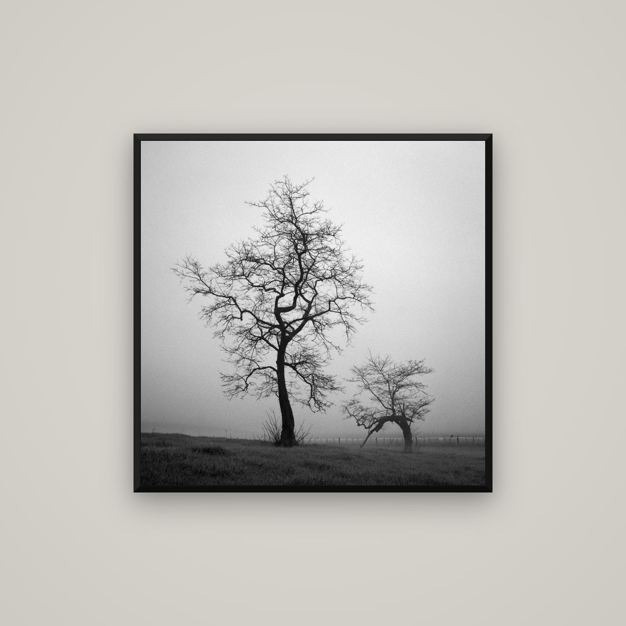 The Humble Guardian, Waikato — Basel Black, 80×80 cm. New Zealand fine art wall art by Stephen Milner.