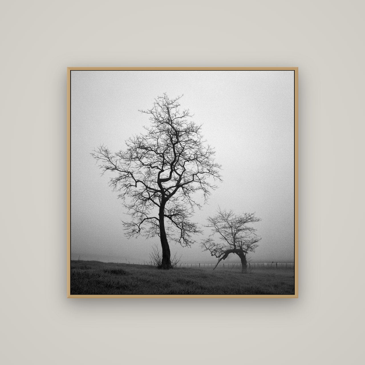 The Humble Guardian, Waikato, Basel Natural Oak, 100×100 cm. New Zealand fine art wall art by Stephen Milner.