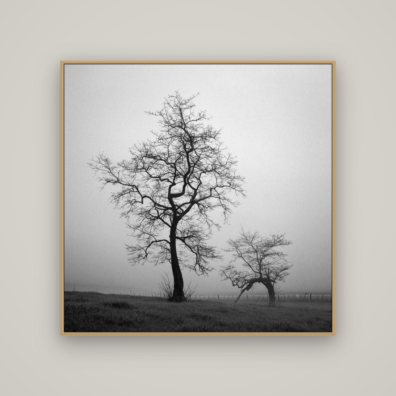 The Humble Guardian, Waikato, Basel Natural Oak, 120×120 cm. New Zealand fine art wall art by Stephen Milner.