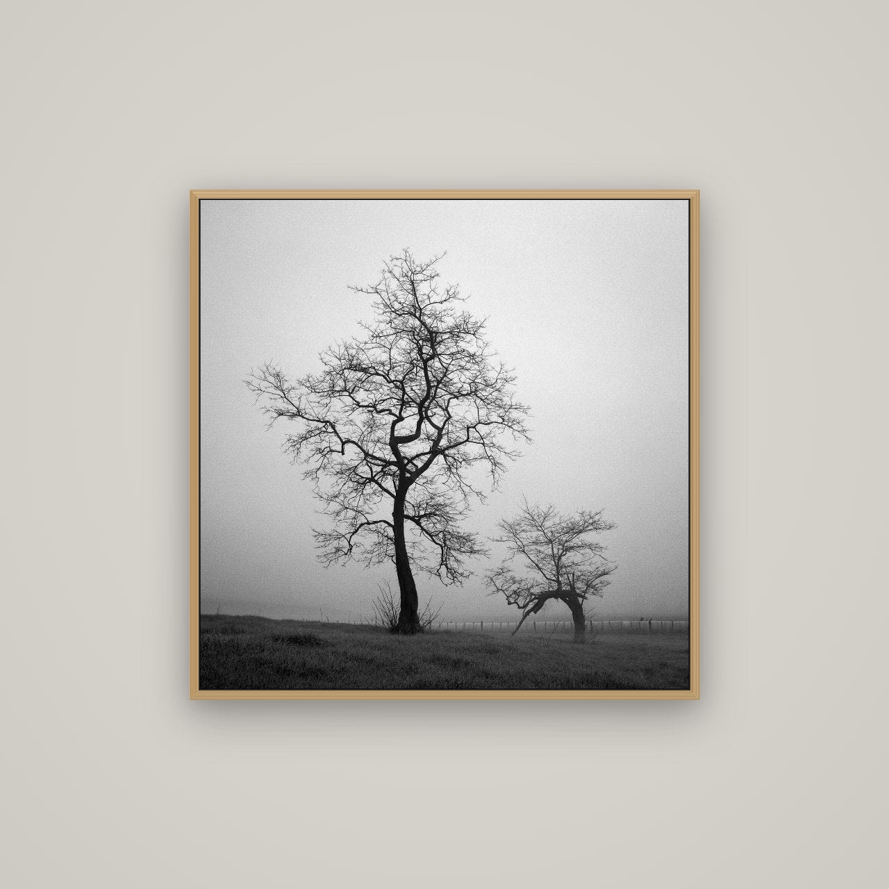 The Humble Guardian, Waikato, Basel Natural Oak, 80×80 cm. New Zealand fine art wall art by Stephen Milner.