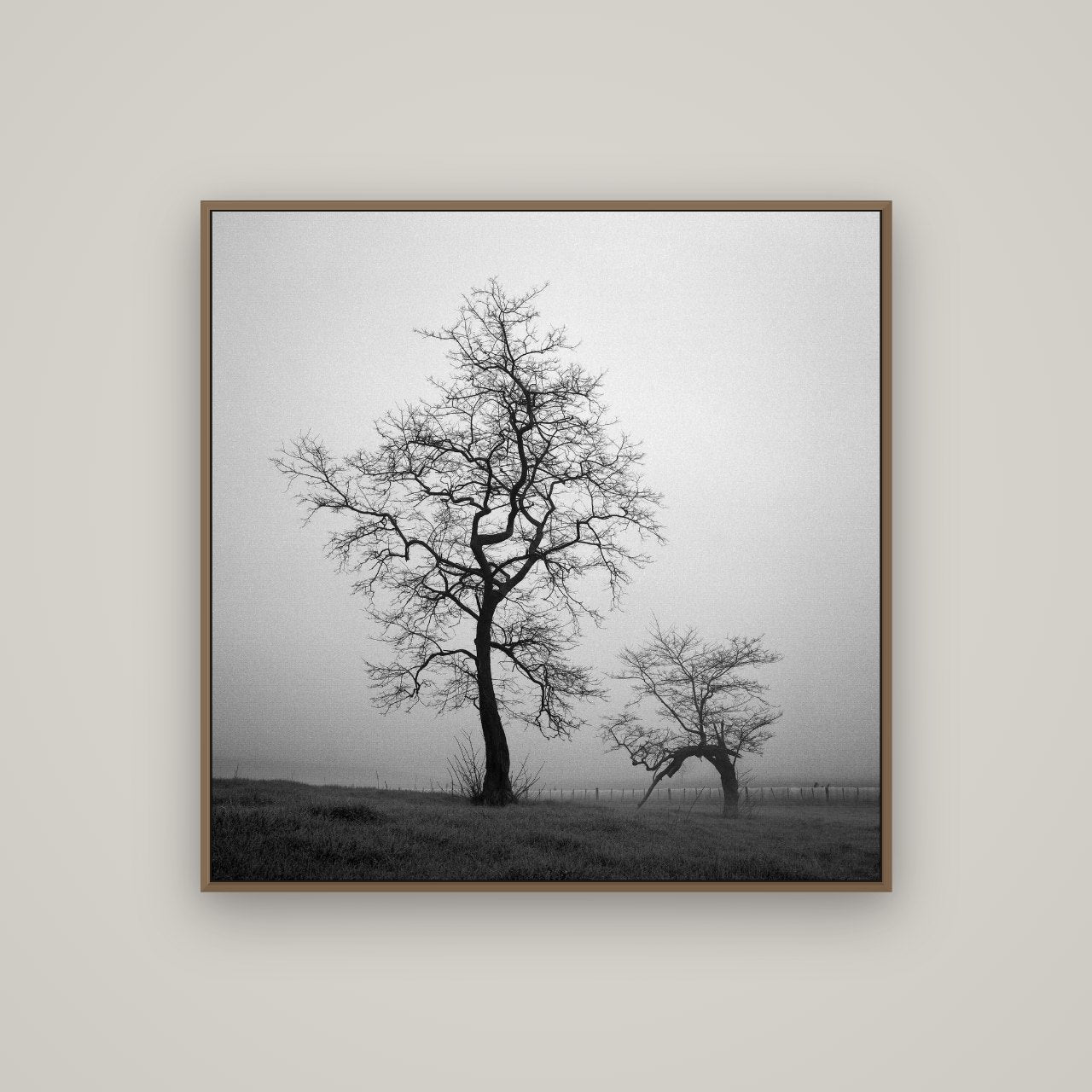 The Humble Guardian, Waikato, Basel Walnut, 100×100 cm. New Zealand fine art wall art by Stephen Milner.