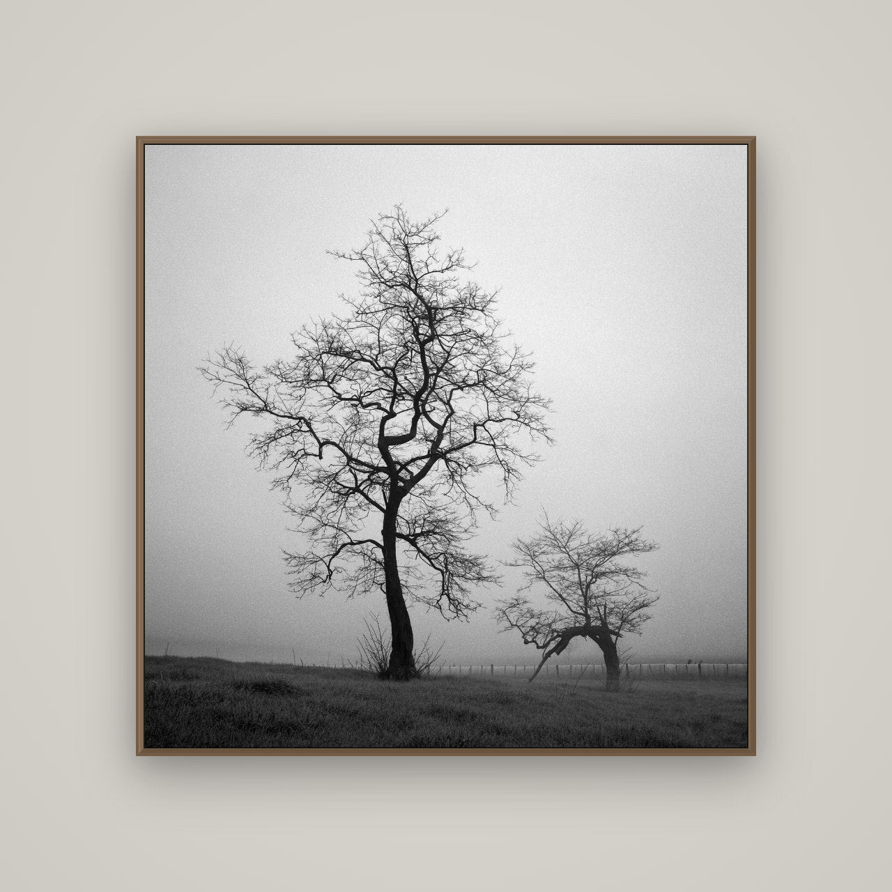 The Humble Guardian, Waikato, Basel Walnut, 120×120 cm. New Zealand fine art wall art by Stephen Milner.