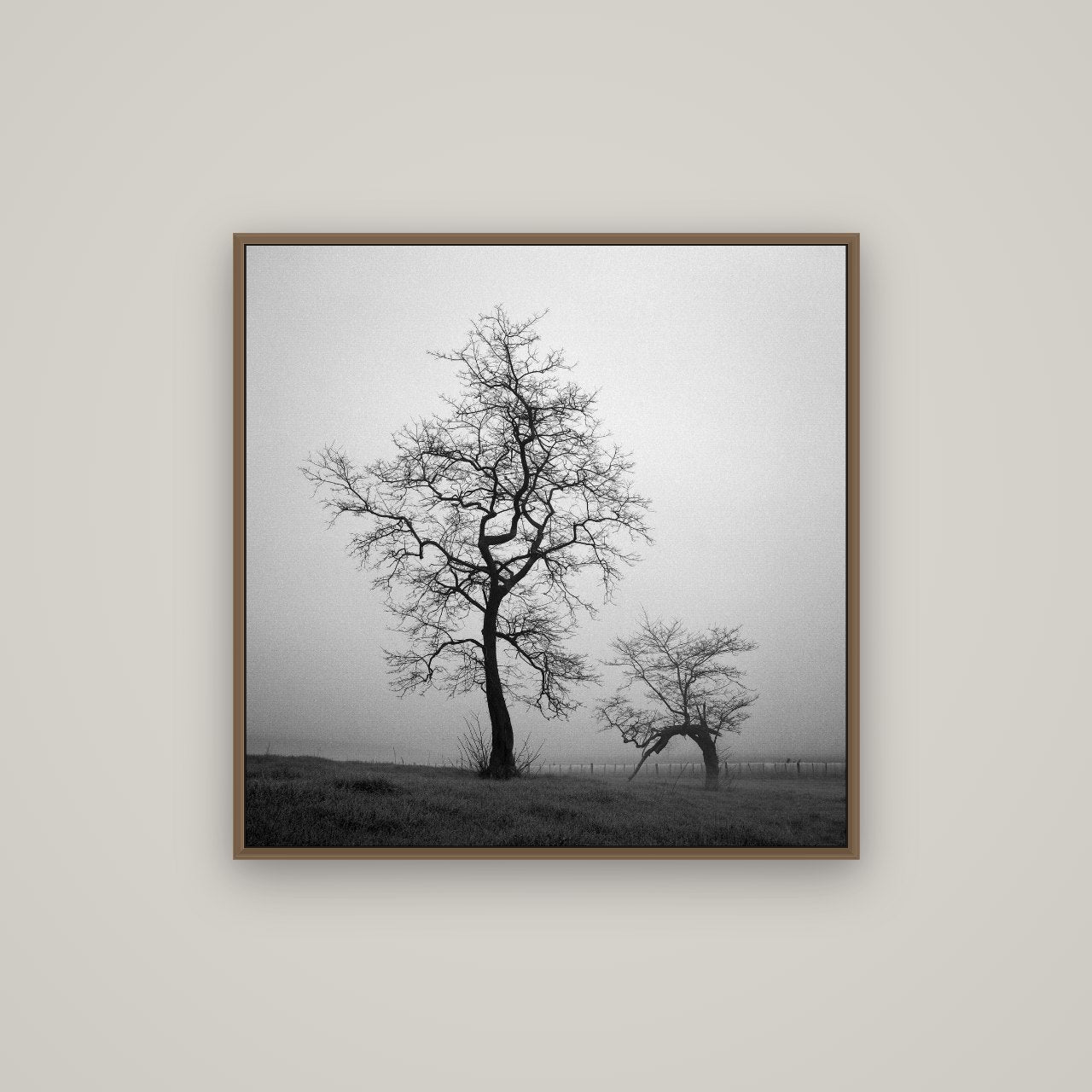 The Humble Guardian, Waikato, Basel Walnut, 80×80 cm. New Zealand fine art wall art by Stephen Milner.