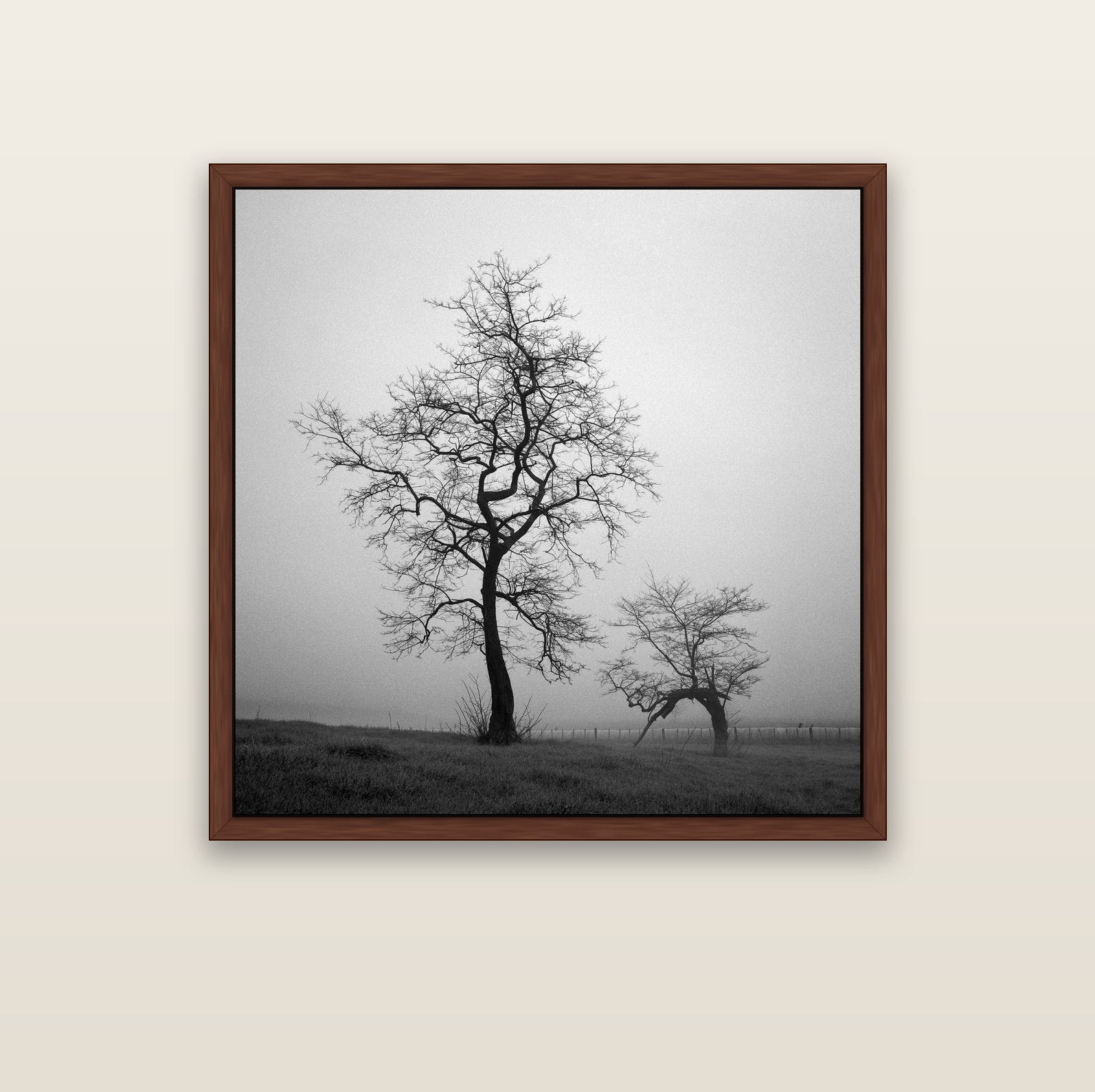 The Humble Guardian, Waikato — brown float frame canvas, 102 × 102 cm. New Zealand fine art landscape wall art by Stephen Milner.