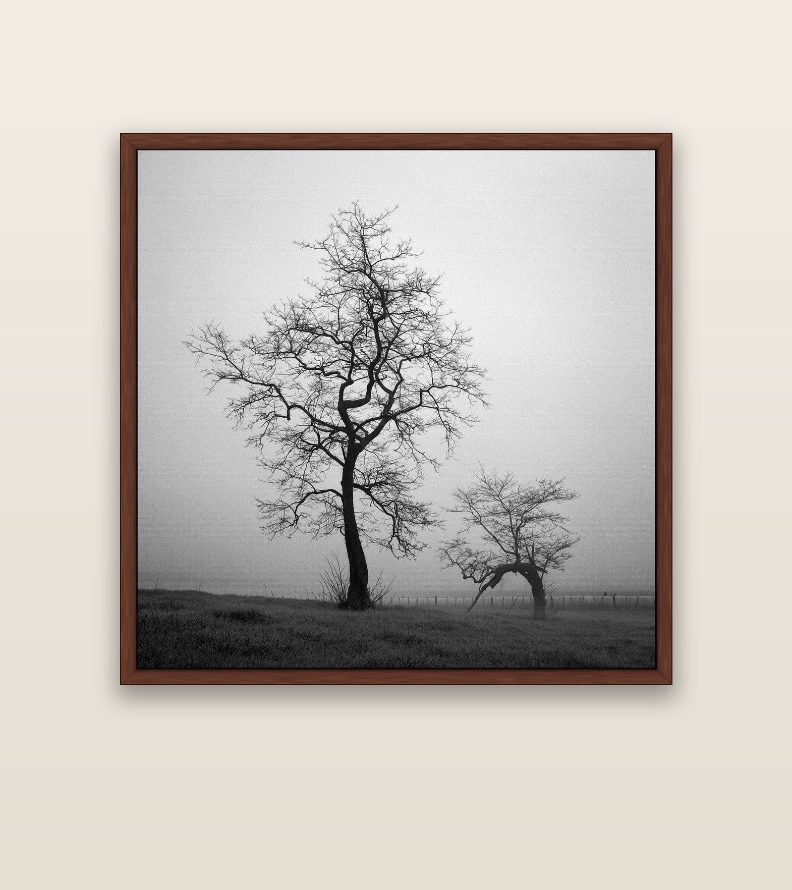 The Humble Guardian, Waikato — brown float frame canvas, 127 × 127 cm. New Zealand fine art landscape wall art by Stephen Milner.