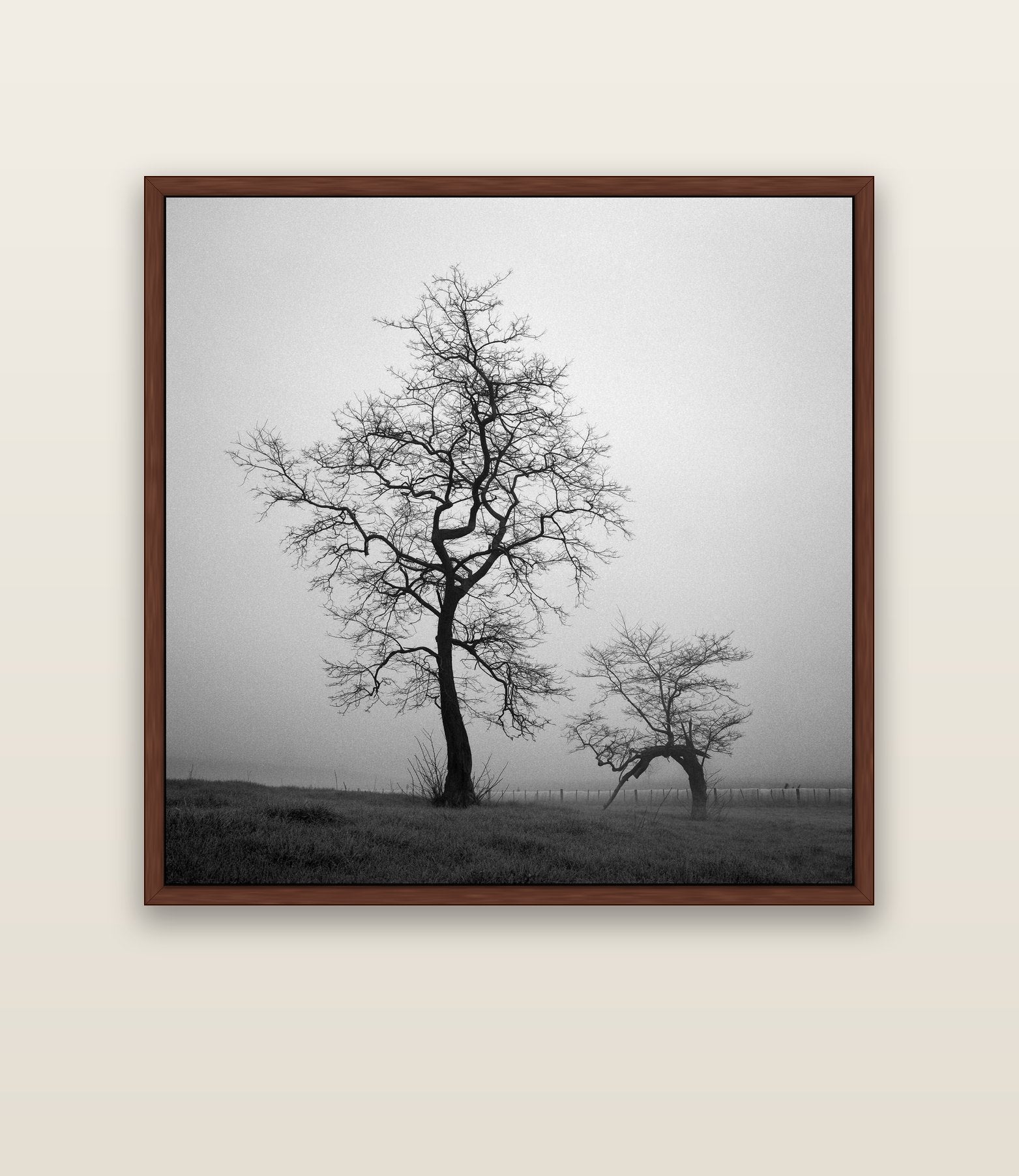 The Humble Guardian, Waikato — brown float frame canvas, 133 × 133 cm. New Zealand fine art landscape wall art by Stephen Milner.