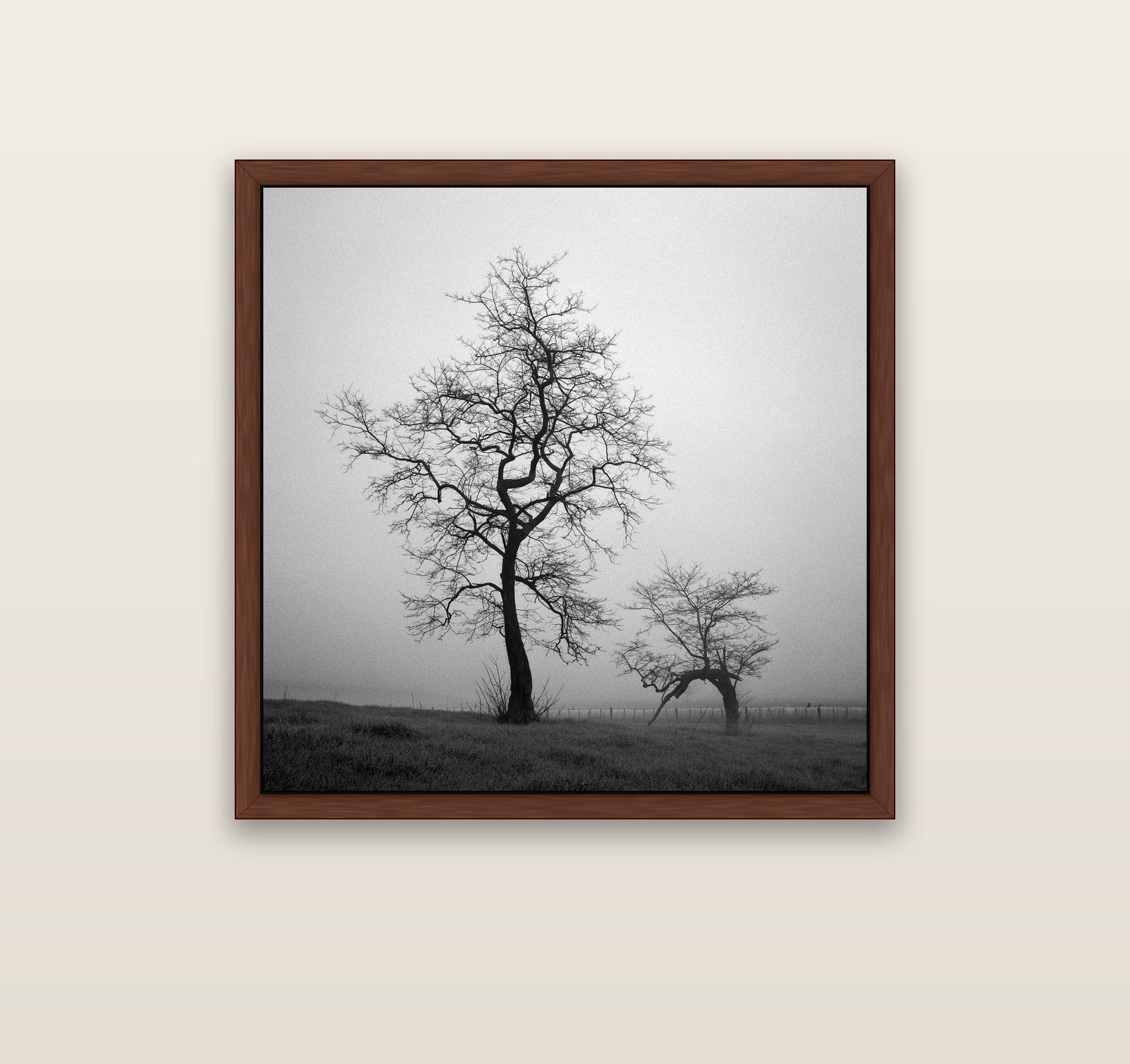 The Humble Guardian, Waikato — brown float frame canvas, 91 × 91 cm. New Zealand fine art landscape wall art by Stephen Milner.