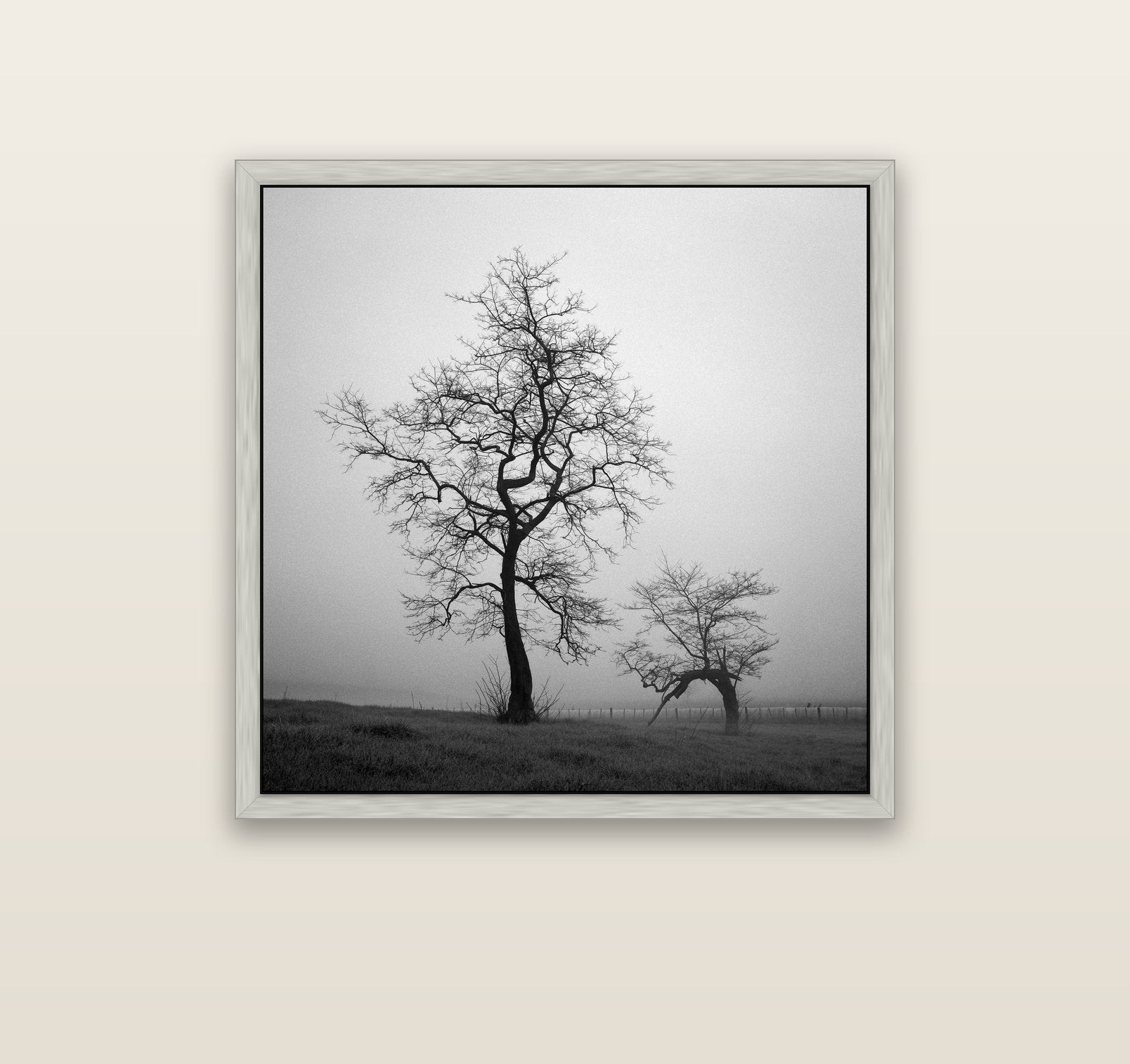 The Humble Guardian, Waikato — silver float frame canvas, 91 × 91 cm. New Zealand fine art landscape wall art by Stephen Milner.