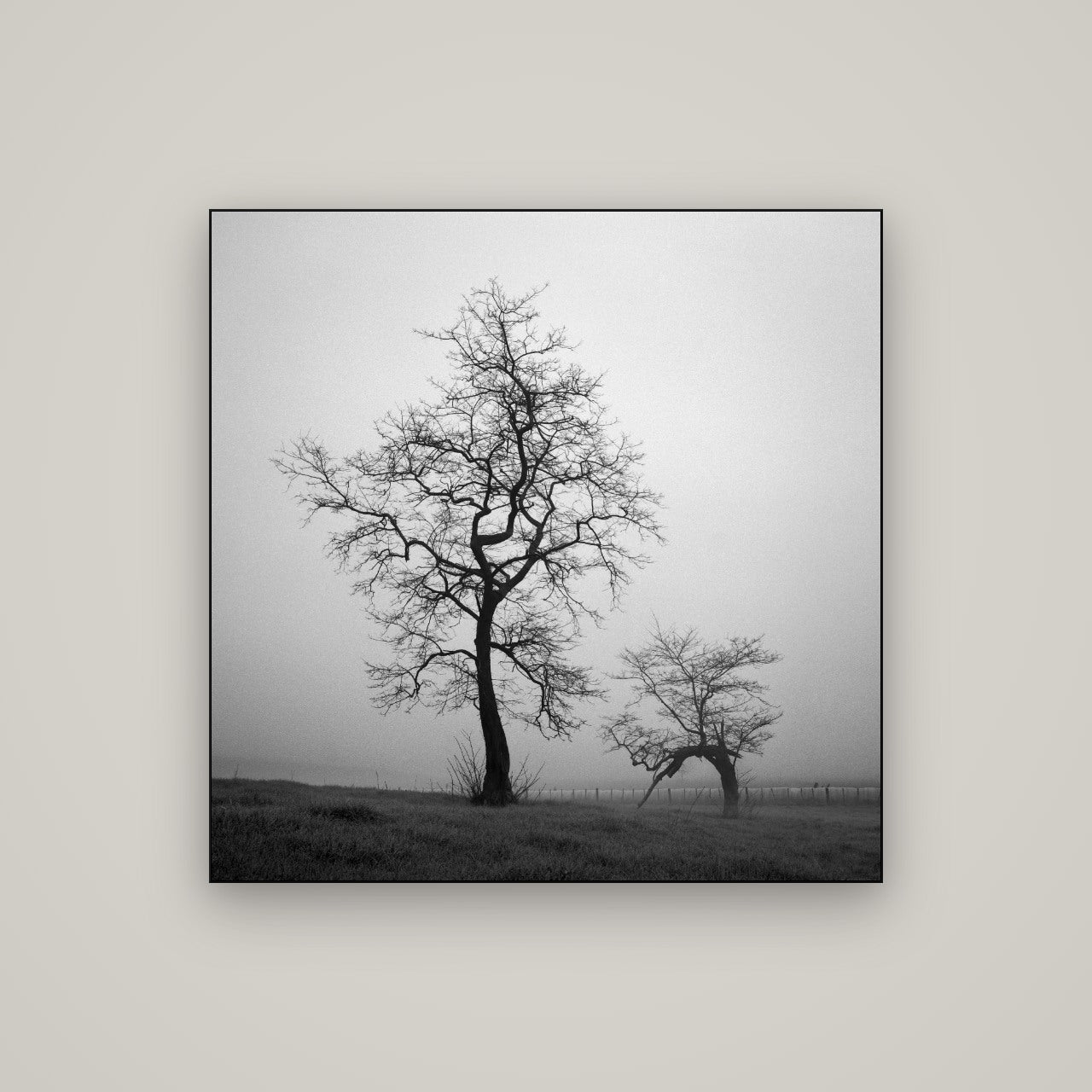 The Humble Guardian, Waikato — Slimline Black, 100×100 cm. New Zealand fine art wall art by Stephen Milner.
