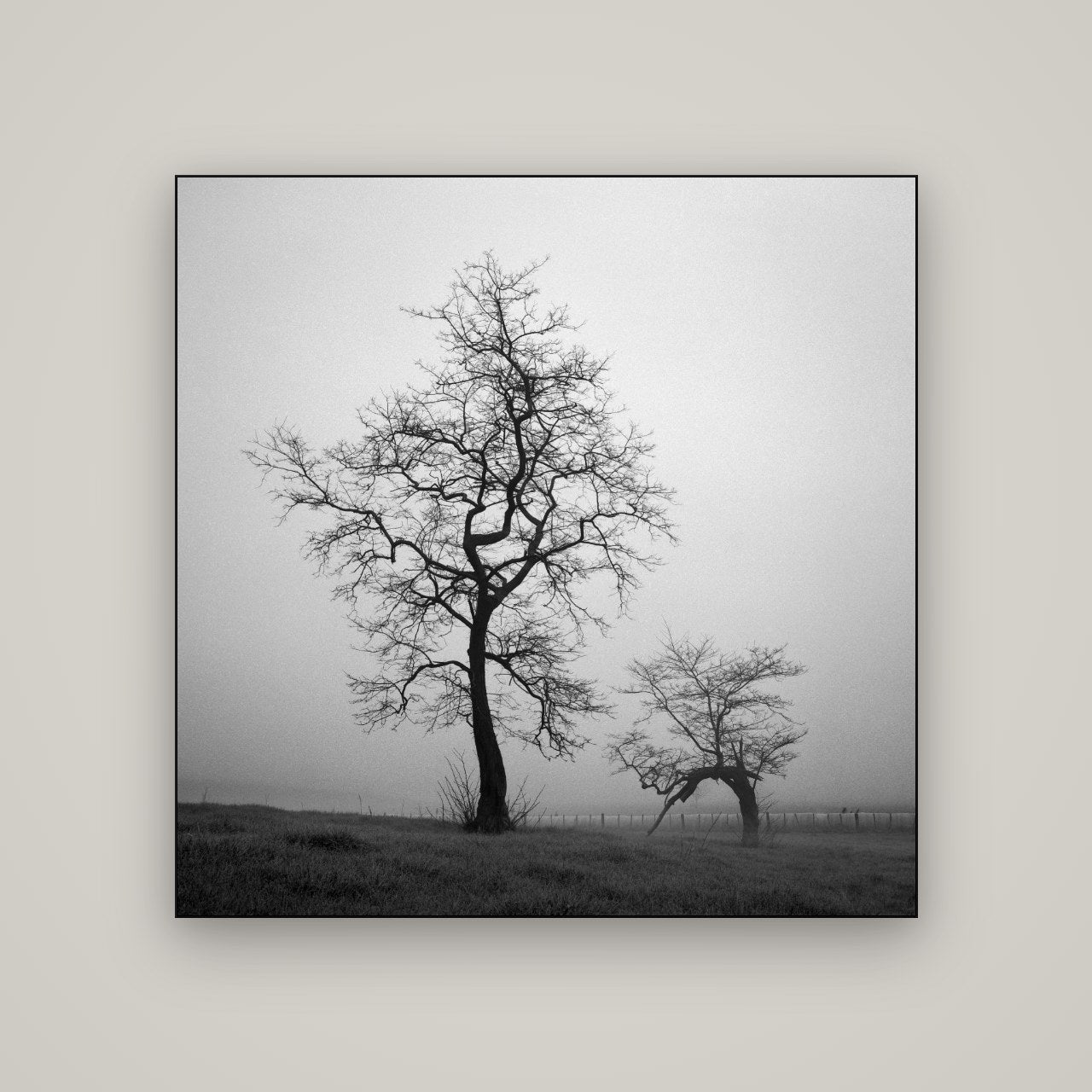 The Humble Guardian, Waikato — Slimline Black, 120×120 cm. New Zealand fine art wall art by Stephen Milner.