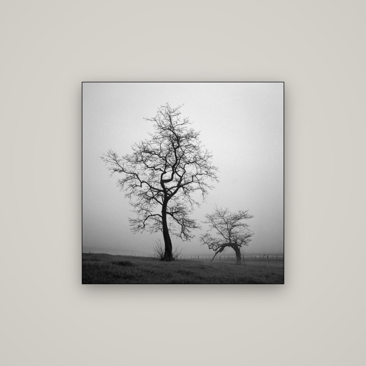 The Humble Guardian, Waikato — Slimline Black, 80×80 cm. New Zealand fine art wall art by Stephen Milner.