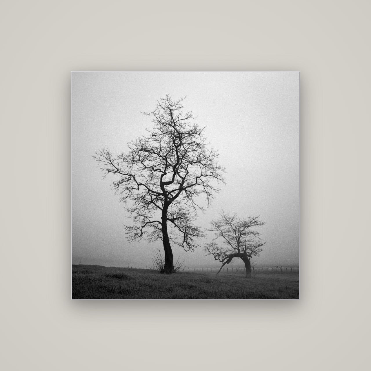 The Humble Guardian, Waikato — Slimline Silver, 100×100 cm. New Zealand fine art wall art by Stephen Milner.
