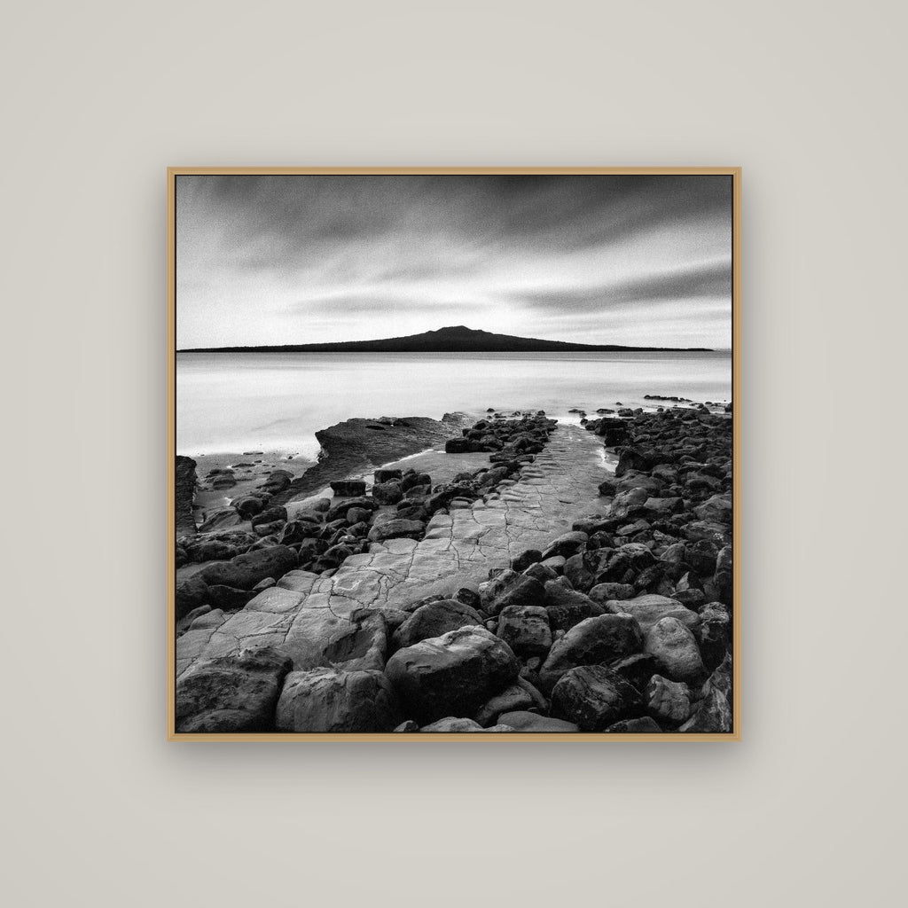 The Path to Rangitoto, Auckland Harbour, Basel Natural Oak, 100×100 cm. New Zealand fine art wall art by Stephen Milner.