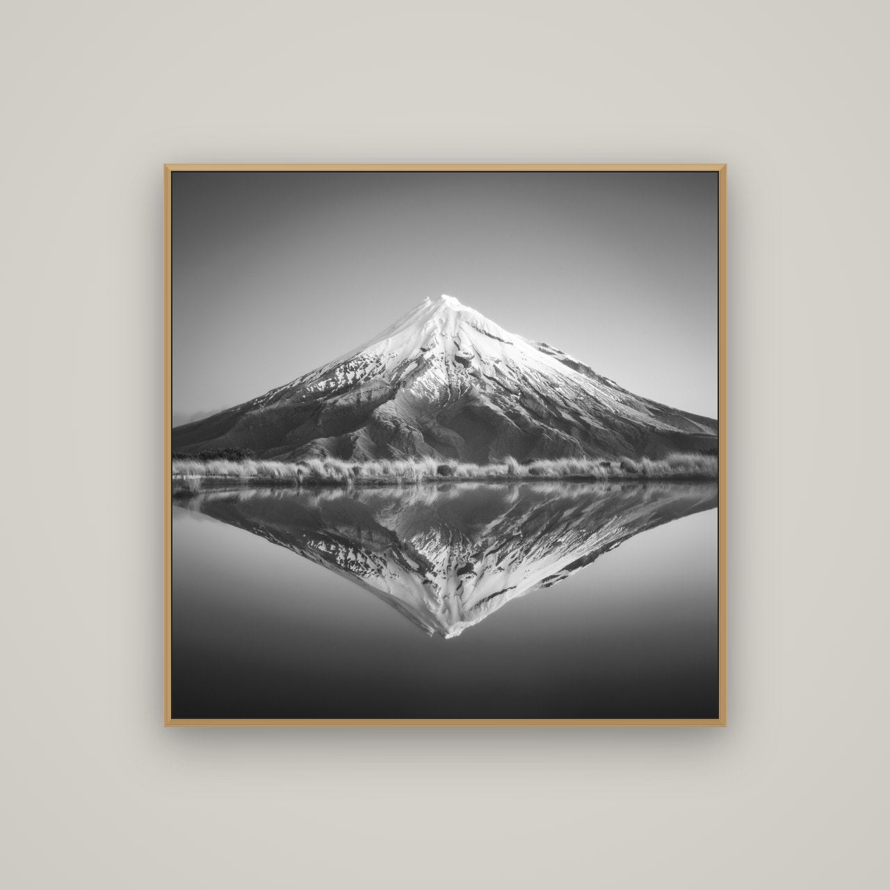 The Point, Mount Taranaki, Basel Natural Oak, 100×100 cm. New Zealand fine art wall art by Stephen Milner.