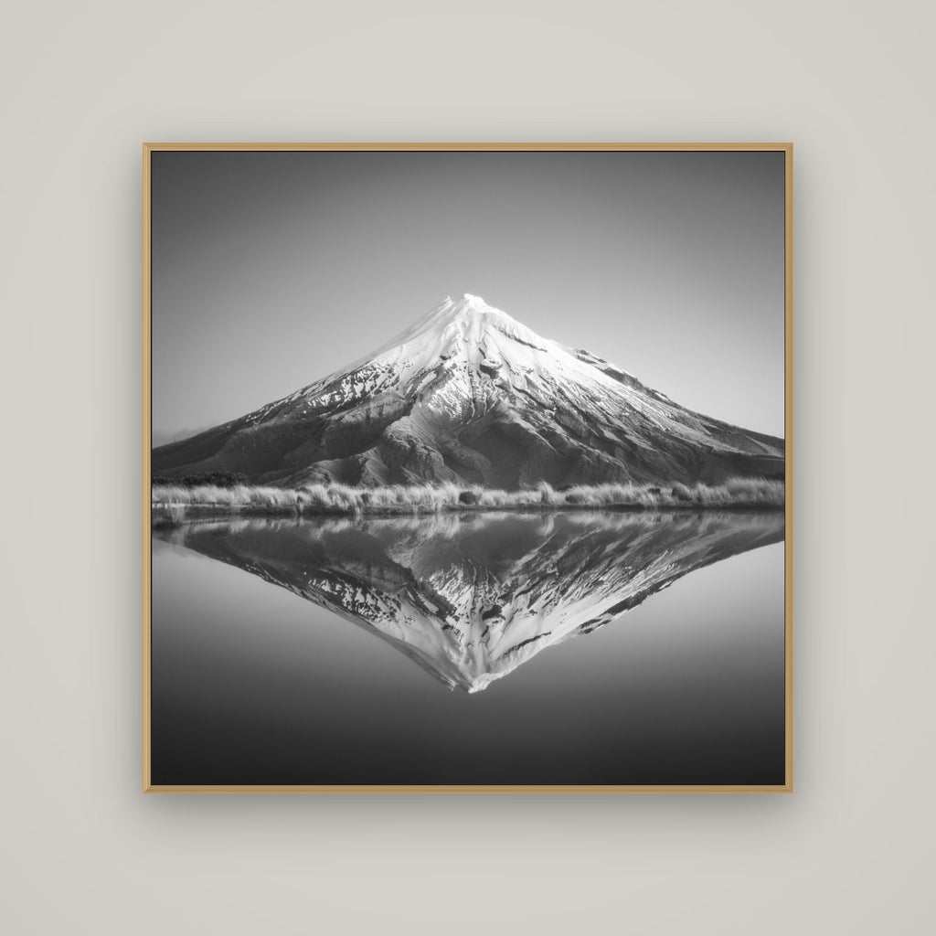 The Point, Mount Taranaki, Basel Natural Oak, 120×120 cm. New Zealand fine art wall art by Stephen Milner.
