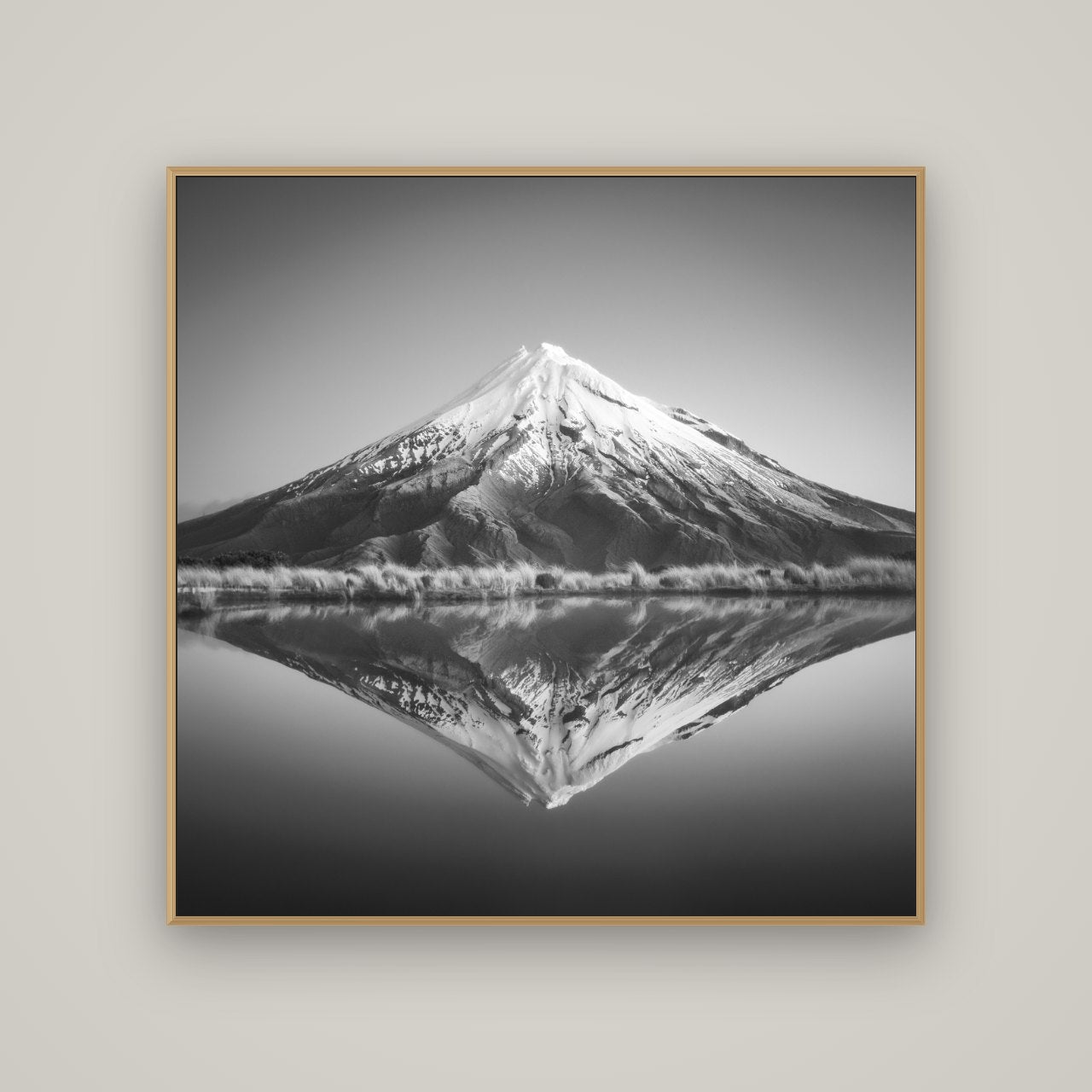 The Point, Mount Taranaki, Basel Natural Oak, 120×120 cm. New Zealand fine art wall art by Stephen Milner.