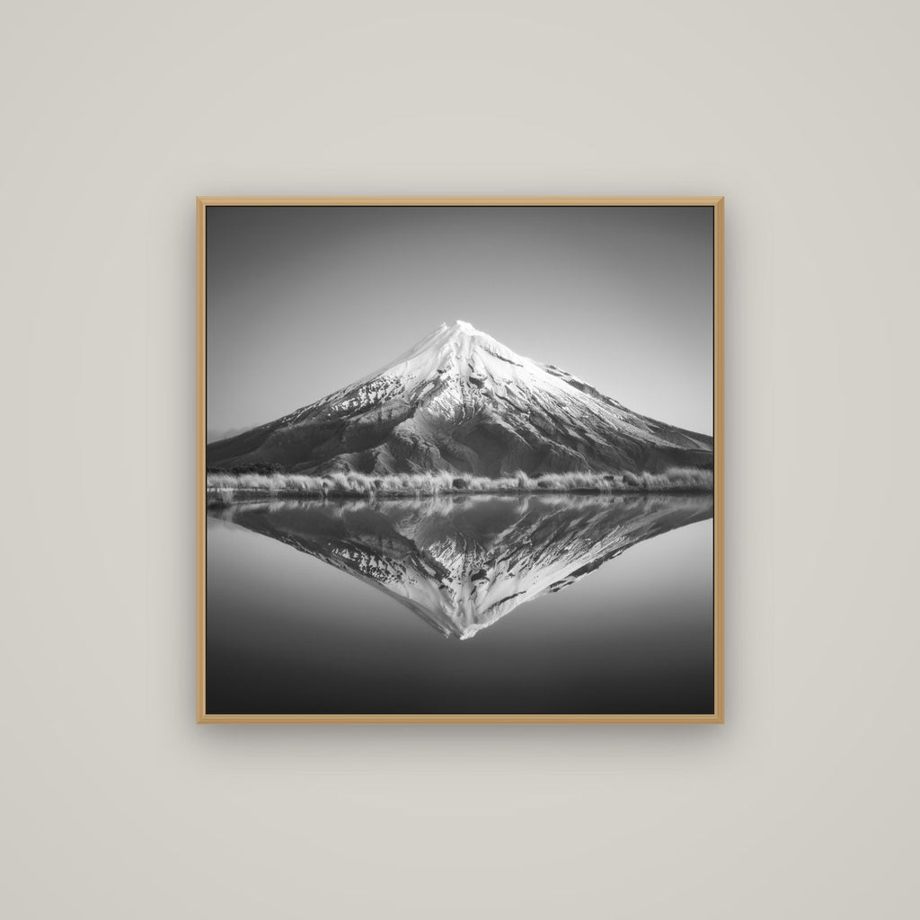 The Point, Mount Taranaki, Basel Natural Oak, 80×80 cm. New Zealand fine art wall art by Stephen Milner.