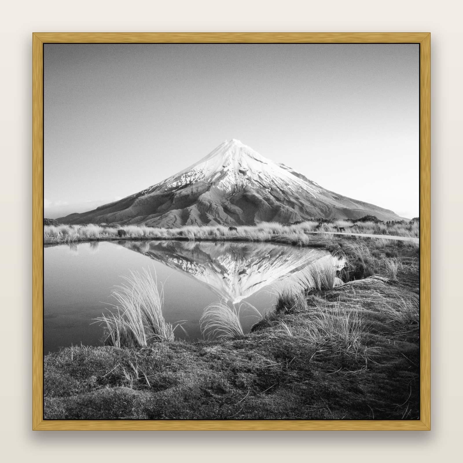 To a Point, Mount Taranaki, black and white framed metallic canvas print, Antique Gold frame. New Zealand fine art wall art by Stephen Milner.
