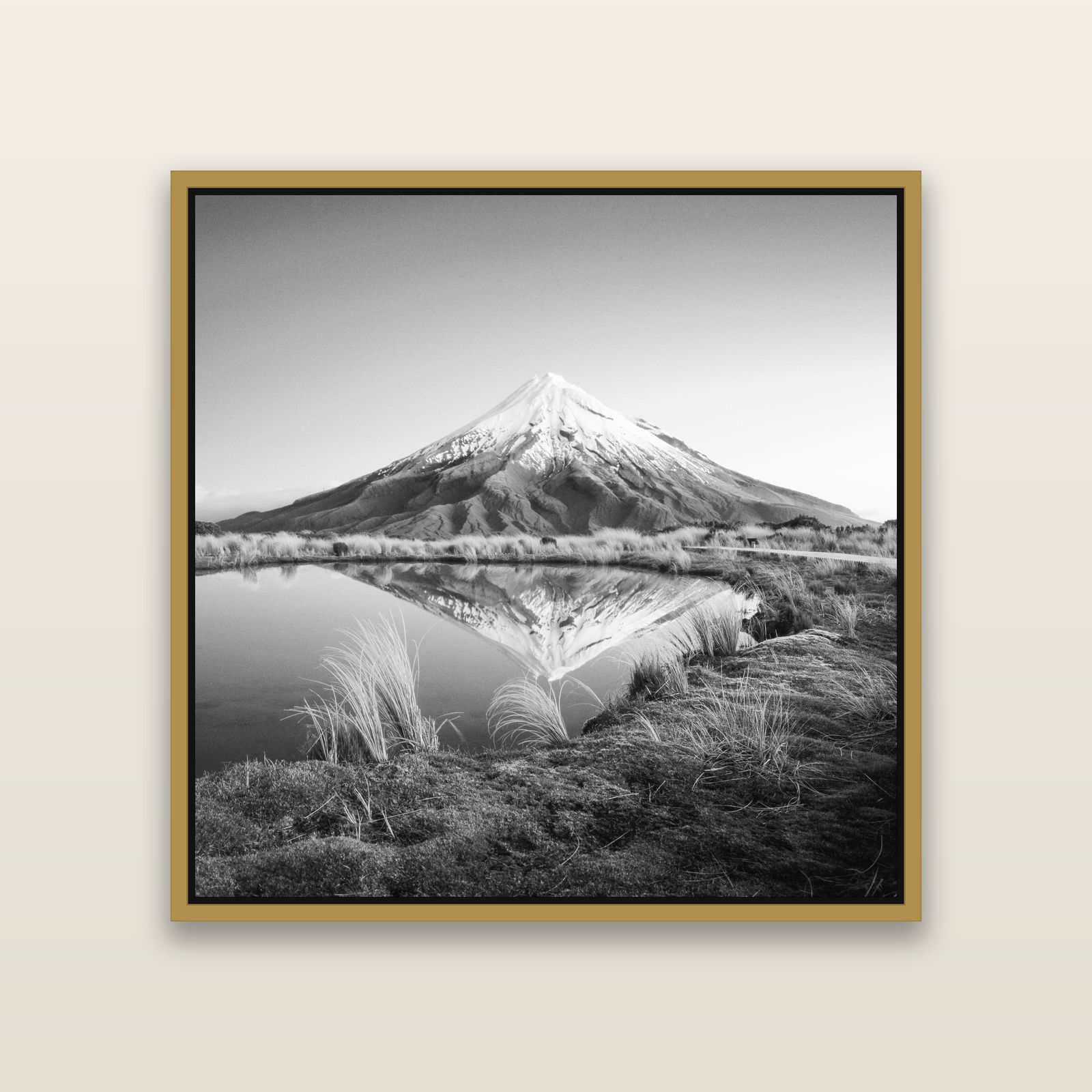 To a Point, Mount Taranaki — Antique Gold framed metallic canvas print, small 41 × 41 cm. New Zealand fine art landscape wall art by Stephen Milner.