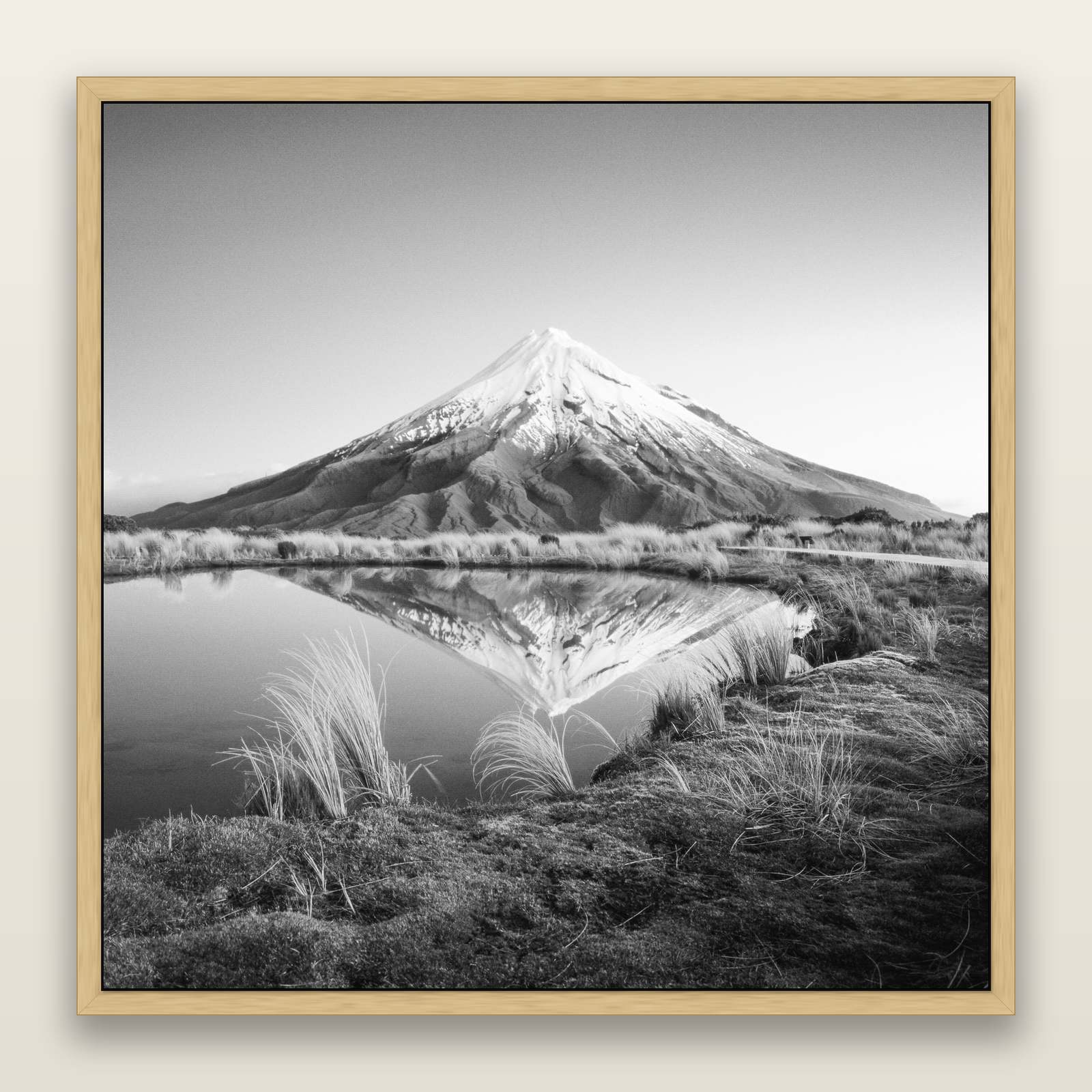 To a Point, Mount Taranaki, black and white framed metallic canvas print, Natural frame. New Zealand fine art wall art by Stephen Milner.