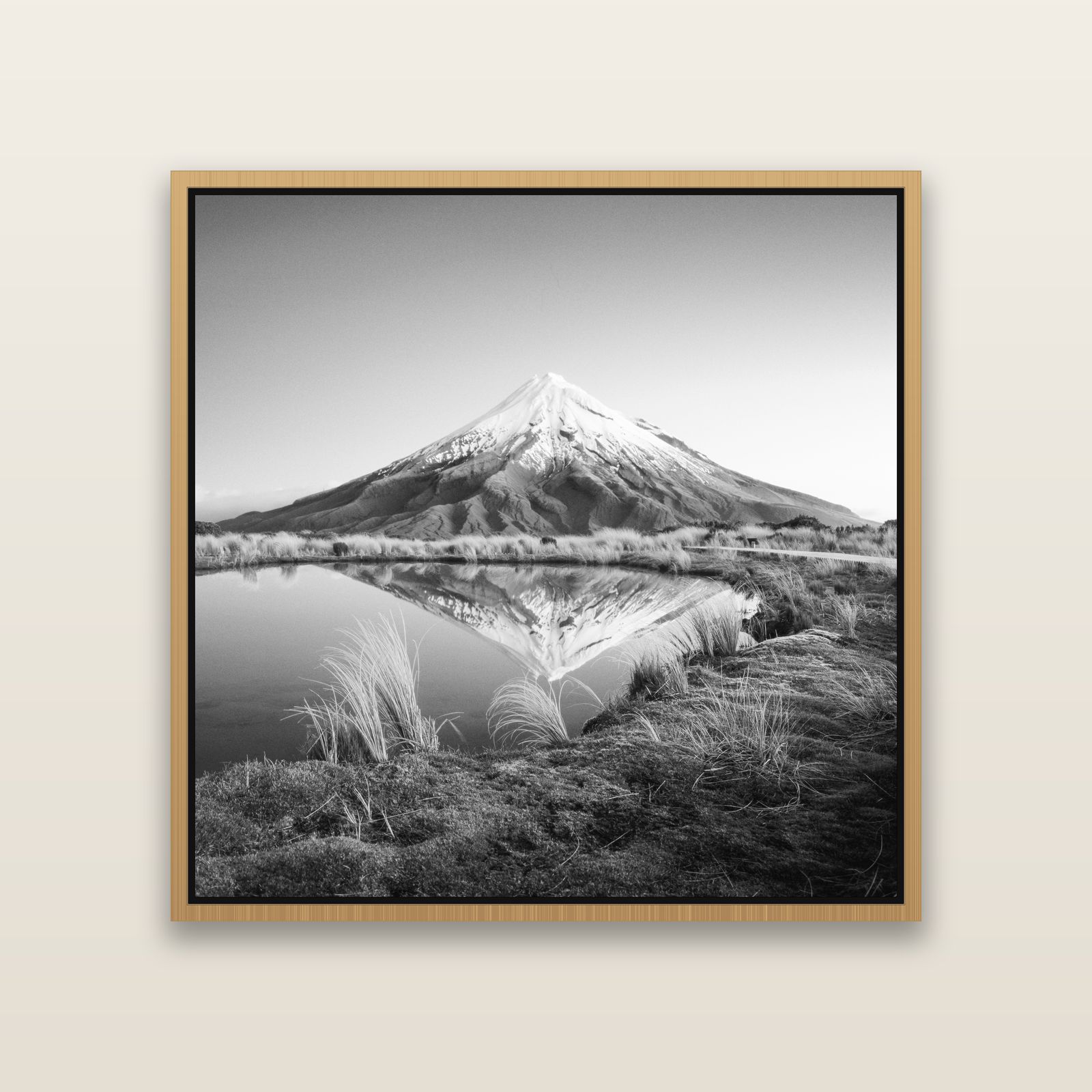 To a Point, Mount Taranaki — Natural framed metallic canvas print, small 41 × 41 cm. New Zealand fine art landscape wall art by Stephen Milner.